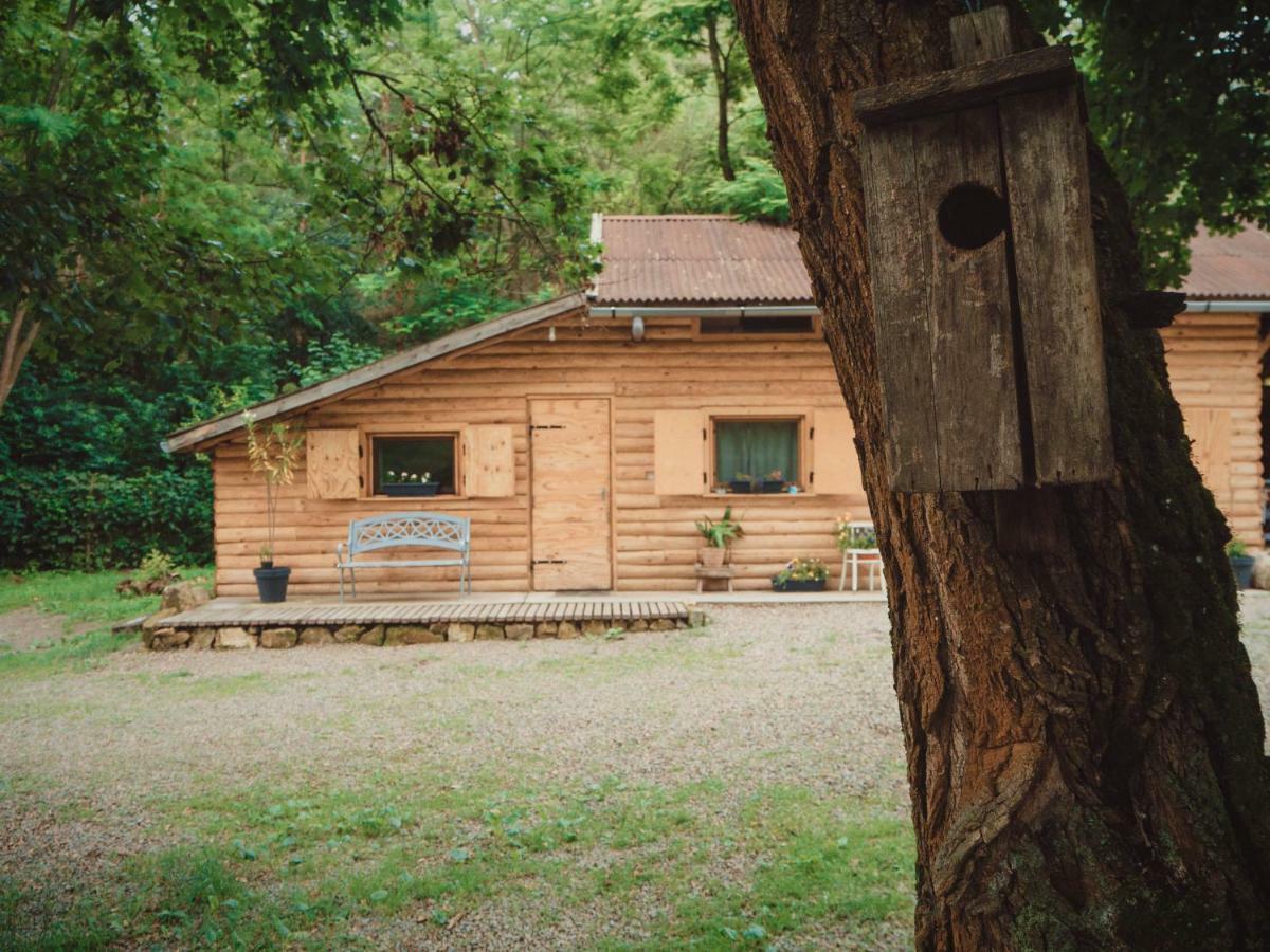 Ferienwohnung Vackorkert Sirok Exterior foto